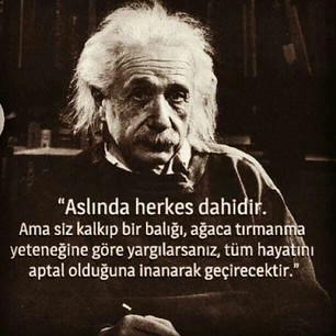 einstein%20soz_130715003614.jpg